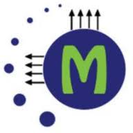 Moises AI tool logo and listing card related